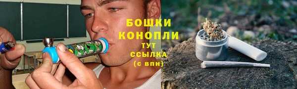 гашик Лихославль