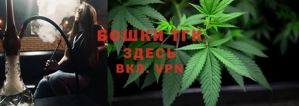твердый Лиски