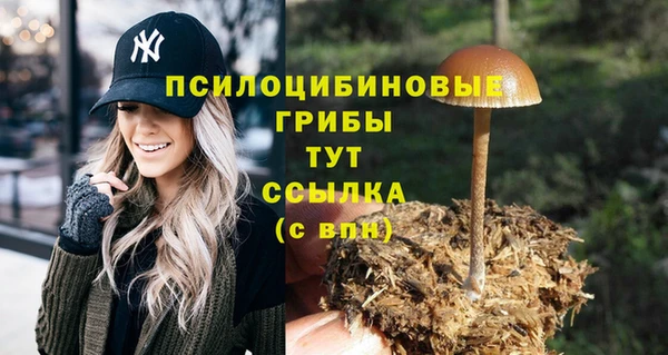 твердый Лиски
