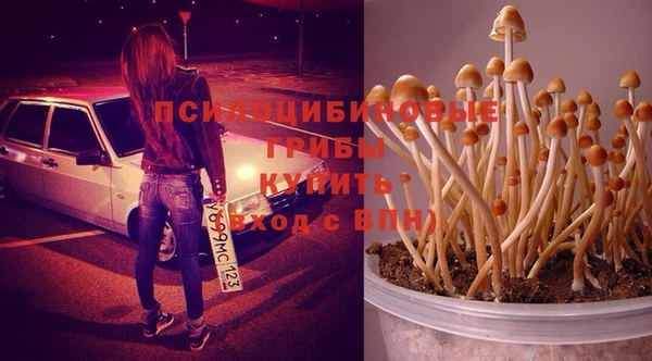гашик Лихославль