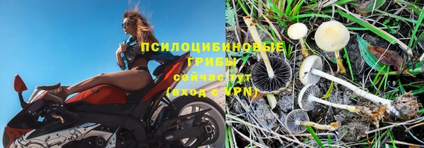 твердый Лиски