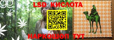 шишки Волжск
