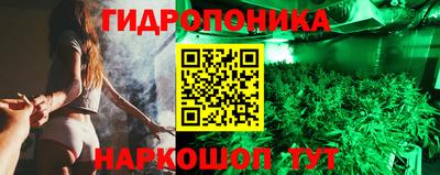 шишки Волжск