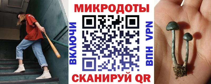 Псилоцибиновые грибы мухоморы цена Кемерово