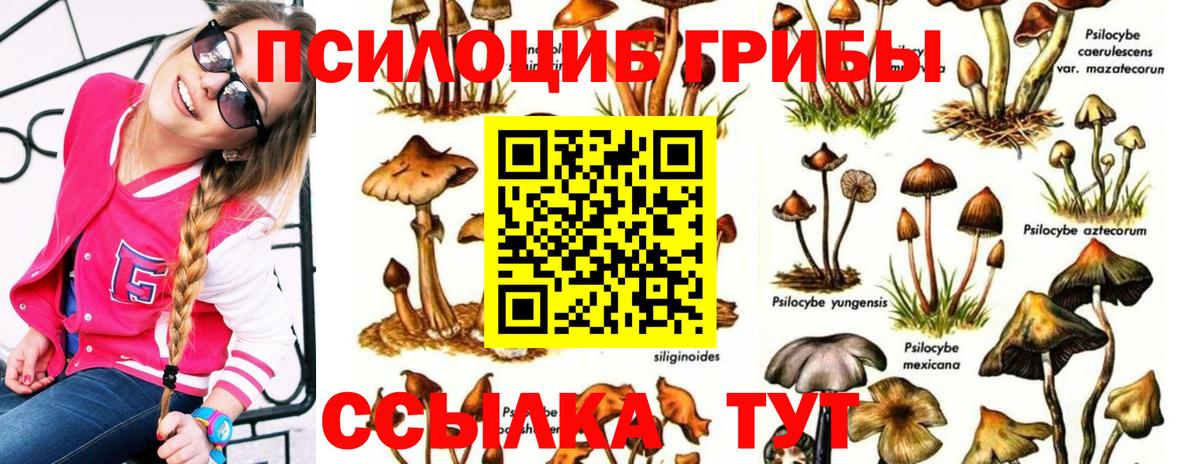 Кемерово  Галлюциногенные грибы мицелий  Вход с VPN  Галлюциногенные грибы мухоморы 