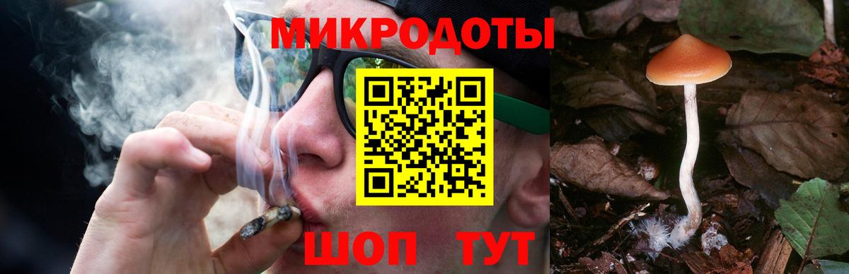 Псилоцибиновые грибы мицелий Кемерово